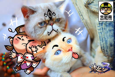 图片: 3.jpg